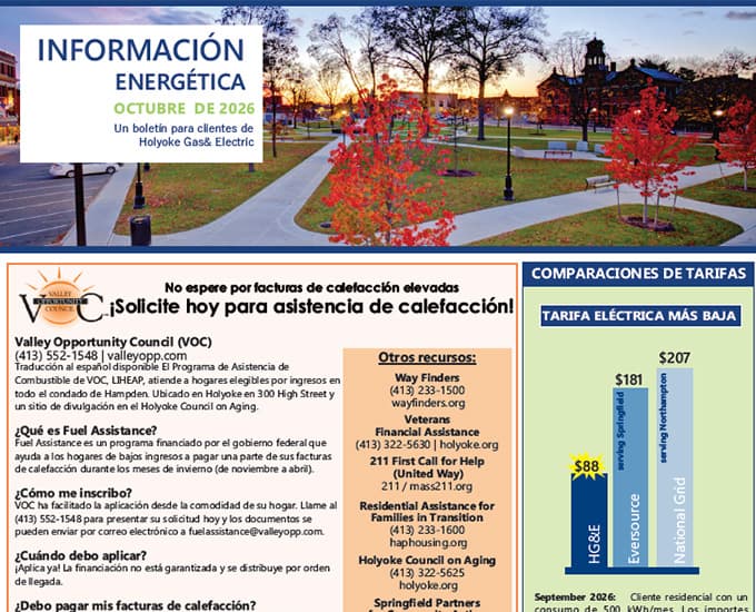 Spanish newsletter